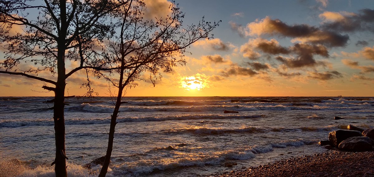 SupattraKea's tweet photo. When the sun goes down.☀️ https://t.co/9GgLGBySUD