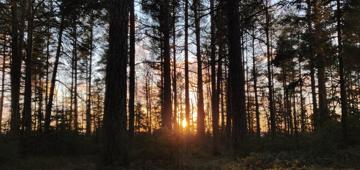 SupattraKea's tweet photo. When the sun goes down.☀️ https://t.co/9GgLGBySUD