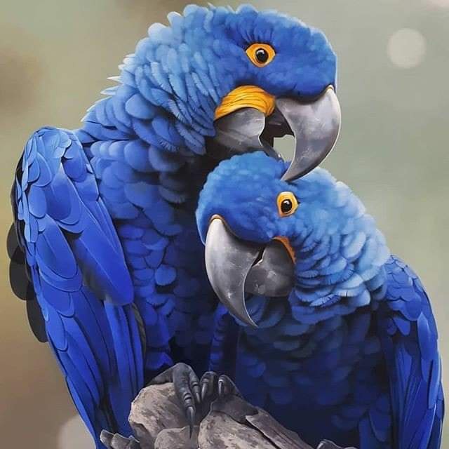 aWin63610036's tweet photo. #NewProfilePic https://t.co/YbDL8WwX5t