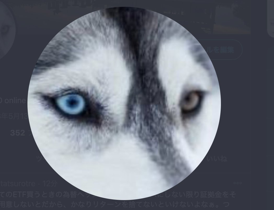 タツ やっぱこのシベリアンハスキー イケメンやん T Co 9wupewgzla Twitter