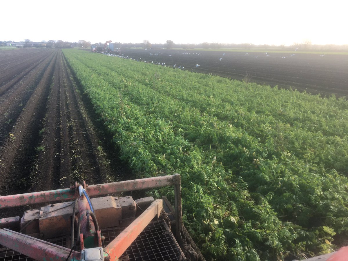 sam_dilcock's tweet photo. It might be Sunday but the dry weather means things are still moving on the farms, I will be chatting to @BBCYork @Sarah_Urwin about this weeks going’s on in british farming after 12PM today tune in on https://t.co/eFDYQHp5Vc https://t.co/v0elutmMq5