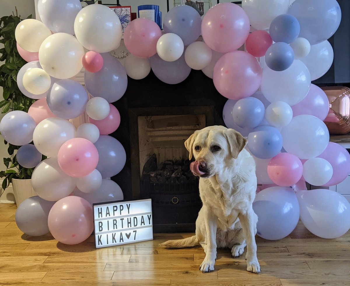 And here's me thinking they forgot my birthday! 

Turns out it couldn't be further from the truth, because today has been renamed Kika Day & we're having a party! 
🎈🎉🎂🎁🐶🐾

#TheKikaEffect