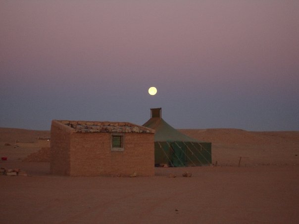 Por la libertad e independencia del #SaharaOccidental colabora en la difusión de noticias del #SaharaOccidental en apoyo al pueblo #saharaui #ActualidadSaharaui