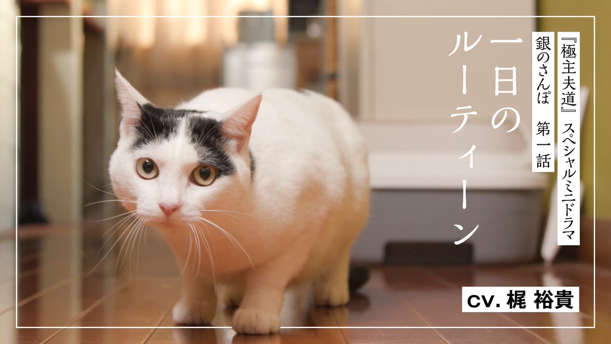 極主夫道 のspミニドラマ 銀のさんぽ Youtubeで配信へ 梶裕貴 下野紘 玉城ティナが参加 ガールズちゃんねる Girls Channel