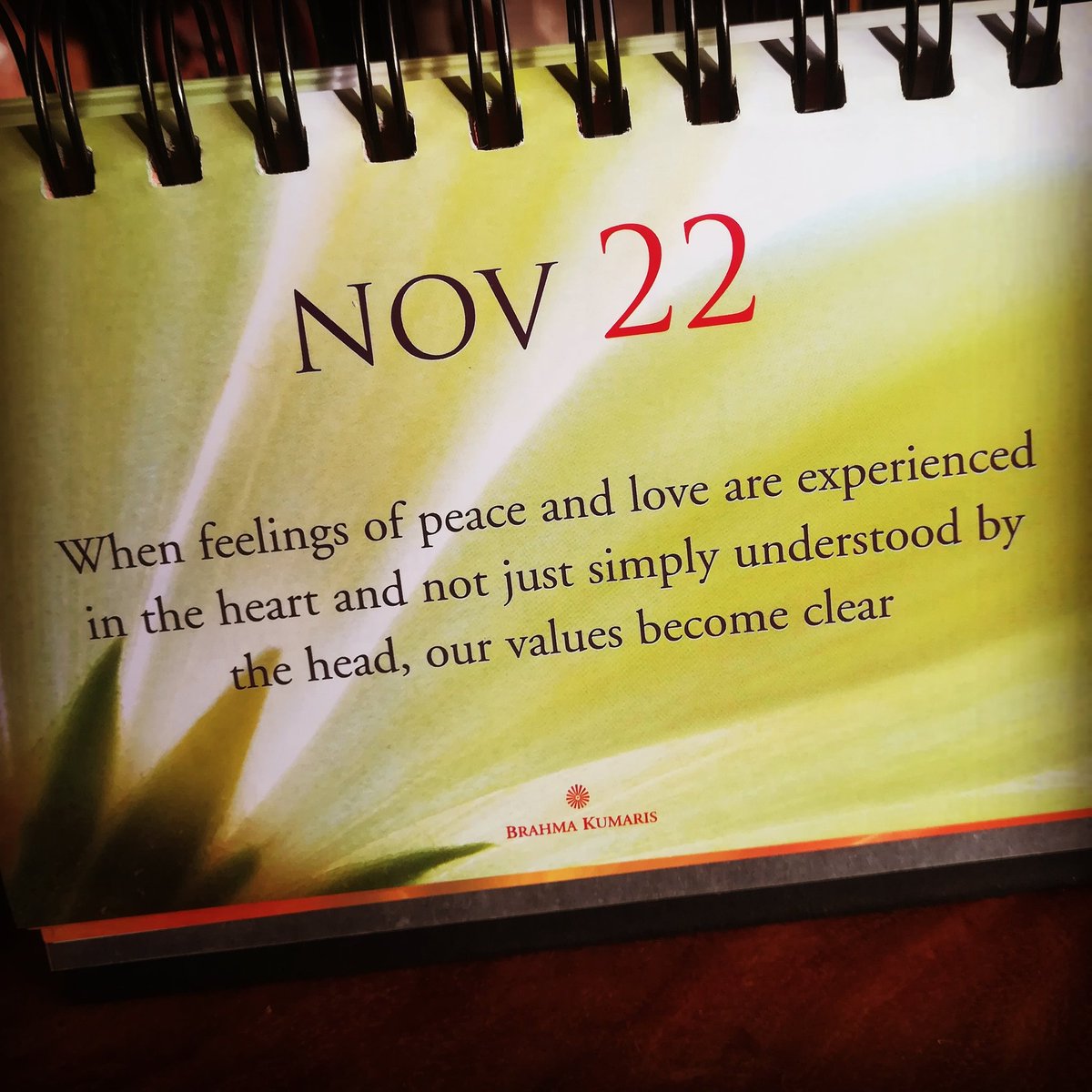 PauleHazel's tweet photo. Todays daily wisdom is... 😊 #simple #clear #understanding #awareness #determined #thoughts #peace  #highestvalues #hope #togetherness #earth #peace #loving #nature #positvity #quoteoftheday #inthemoment #powerofnow #grateful #gratitude #thesecret #peace #brahmakumaris https://t.co/QC41b9qYkO