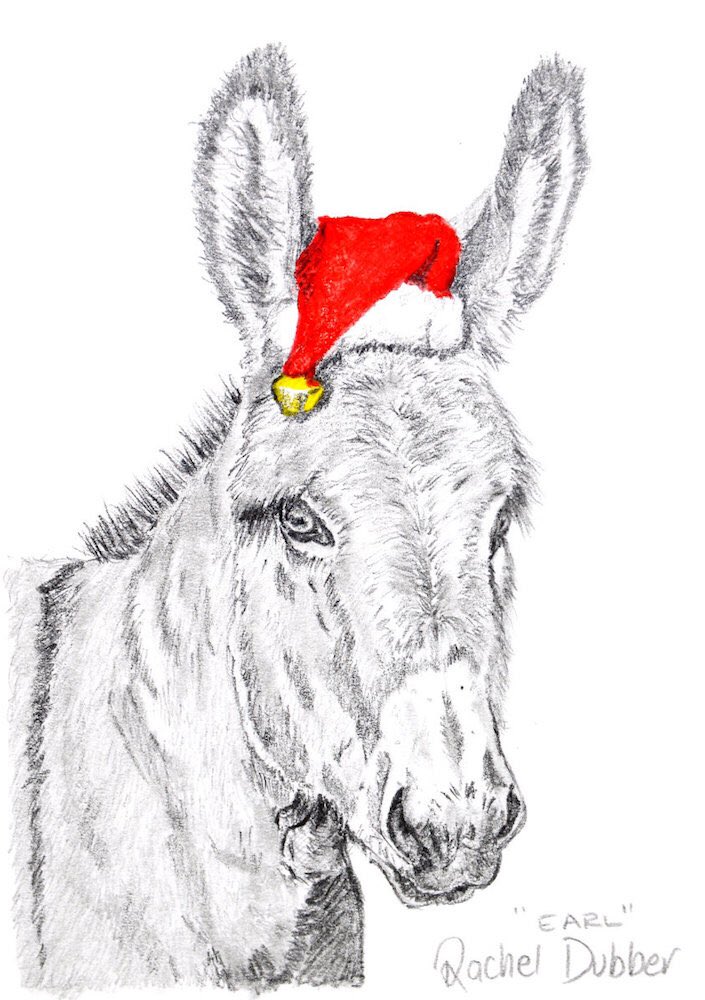 Rachel is a Galway artist who creates beautiful images of animals. This Christmas she has some great cards as well as prints & other gift ideas:  http://www.racheldubber.com  #ShopLocalIreland  #IrishArtist  #IrishGiftIdeas  #GuaranteedIrishGifts