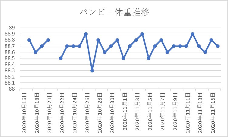 バンビー En Twitter 投稿直前までテッカグヤのすばやさ種族値81だと勘違いしてました テッカグヤのヘビーボンバーの火力えぐい テッカグヤ 受けポケモン の概念を覆す 猪突猛進型テッカグヤ ポケモン剣盾 T Co A0qtztizgi Youtubeより T