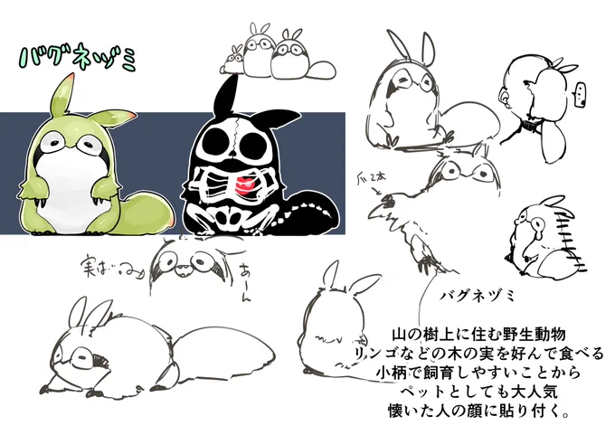 和名:ハラシロスズメネヅミ 