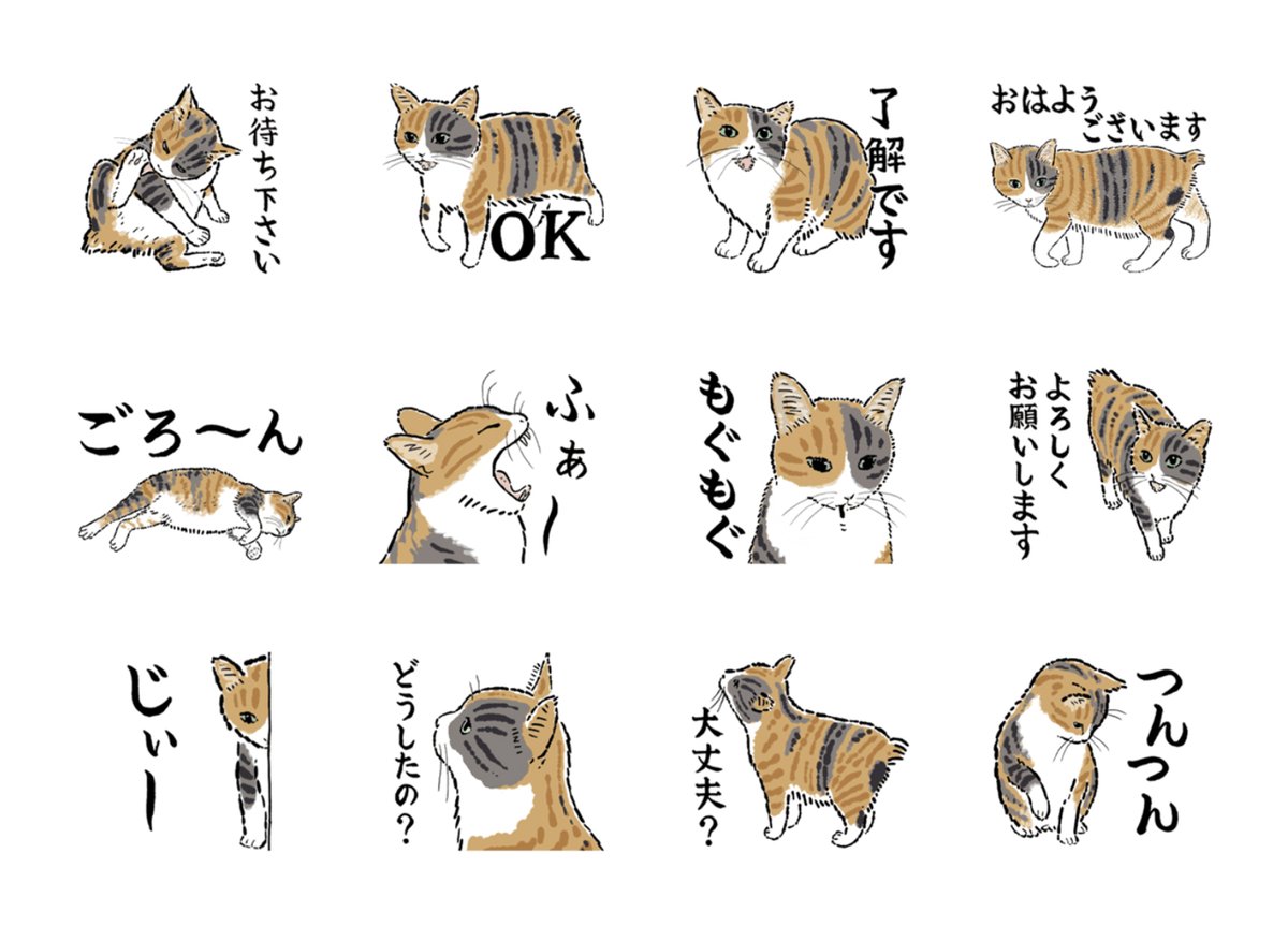 菊ちゃんスタンプできました?
どうぞよろしくお願いいたします。
https://t.co/iind9L07dK 