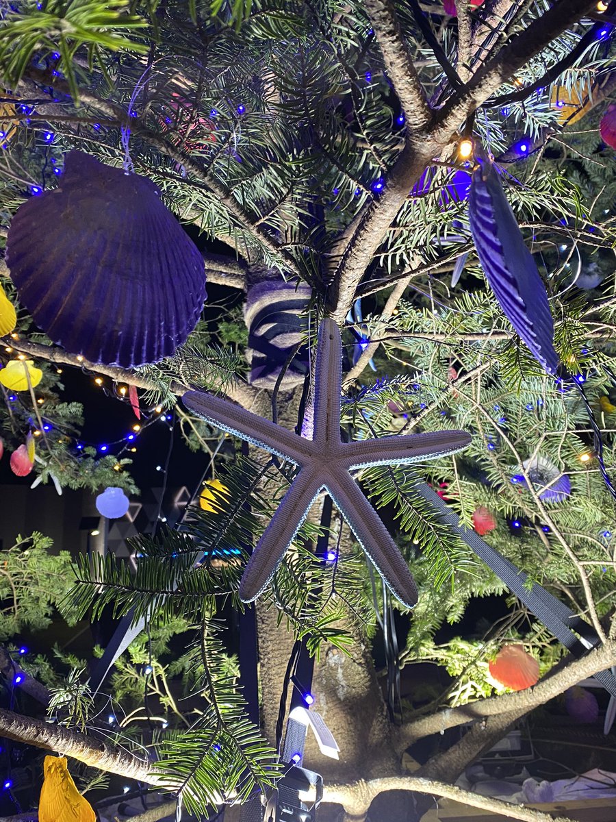 鈴木かおり Suzu Kao1028 Twitter