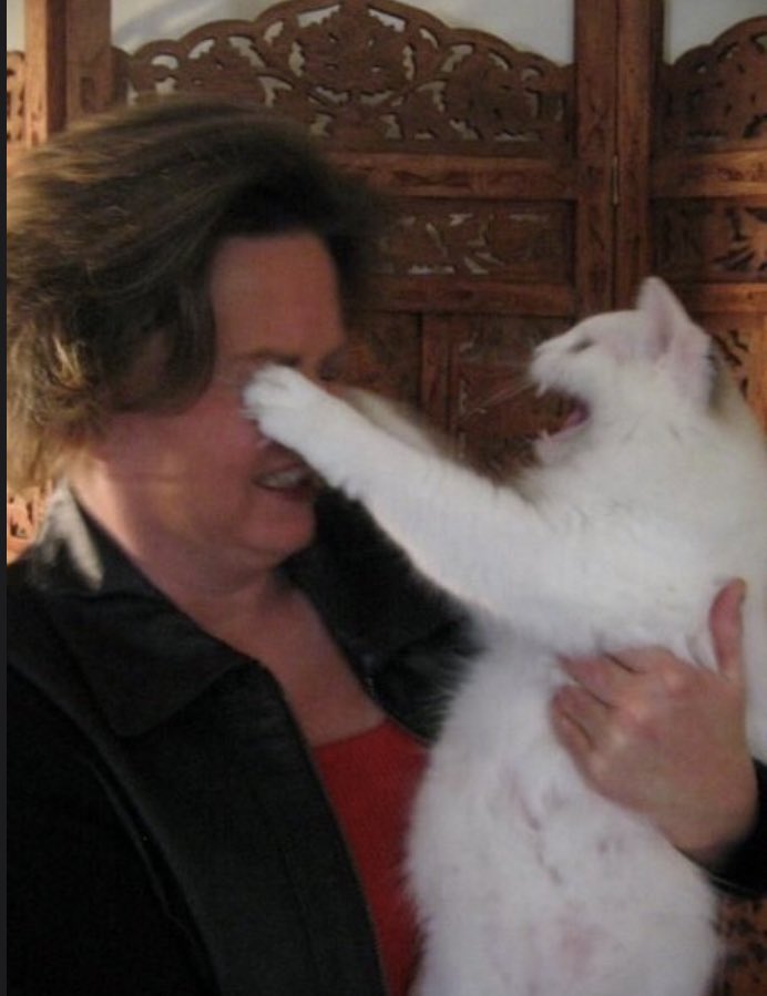 Justin Myers tweet media