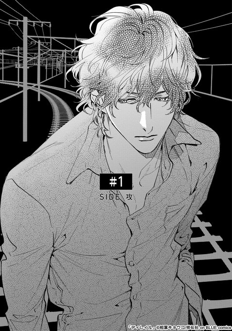 相葉キョウコ Kyoko Arの漫画作品一覧 人気順