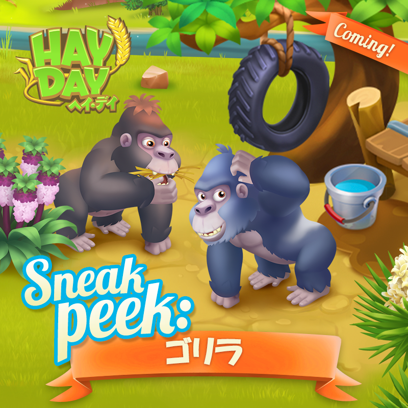 ヘイ デイ公式 自然保護区にやってくる動物の発表です 正解は ゴリラでした 皆さんの予想はあってましたか ヘイデイ