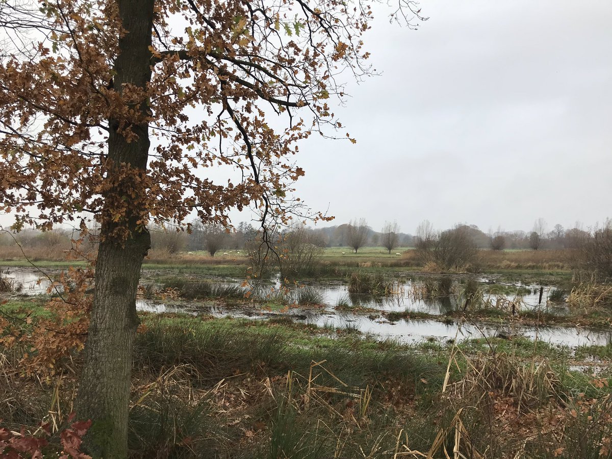 erikderidder's tweet photo. De #zondagochtendwandeling bracht ons vandaag bij het Ooievaarsnest in omgeving van Goirle, waar we door een prachtig bosrijk en afwisselend terrein liepen. Jammer: mountainbikers op wandelpaden. Maar verder absoluut een aanrader! https://t.co/EIQtUUOwdW https://t.co/RXvRvV1pby