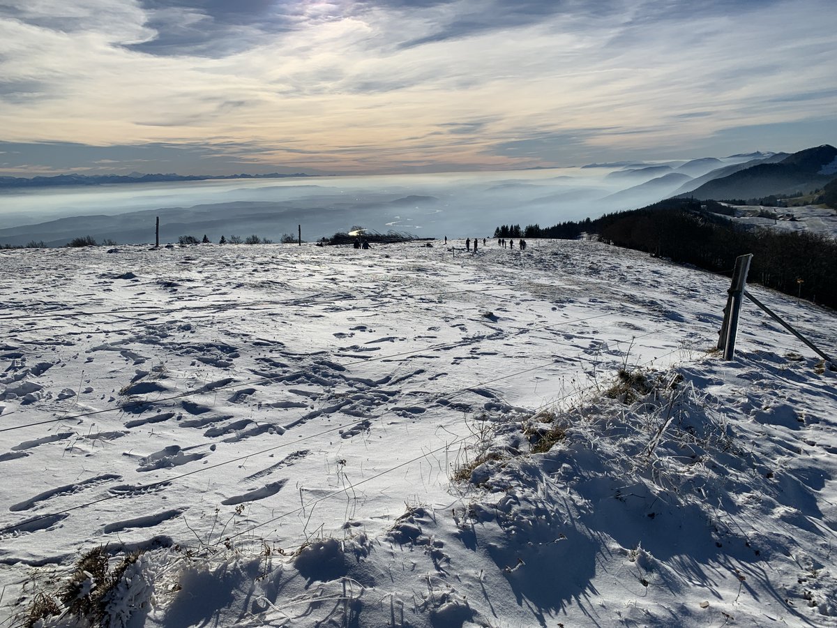 Seginus's tweet photo. Gestern auf einer geologischen Wanderung auf die Röti (1395m) und das Balmfluechöpfli (1289m) im Weissensteingebiet bei Solothurn. Tolle Stimmung. Der Boden oben war schon komplett gefroren und es lag ein wenig Schnee. Auf dem letzten Bild unten links: Eiger, Mönch und Jungfrau. https://t.co/X4wMezzoQf