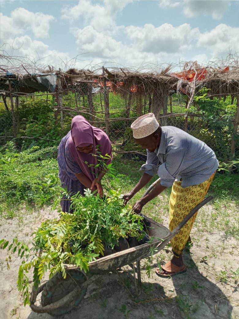 HusseinMedinah's tweet photo. As part of my daily tree planting challenge, gave 30 mixed species to an elder so that he can plant during this rainy season.
Forest is the lung of the earth.
Let’s protect and conserve it.
#DailyTreePlantingChallenge
#KeepKenyaBreathing https://t.co/VpuWbJDRyU