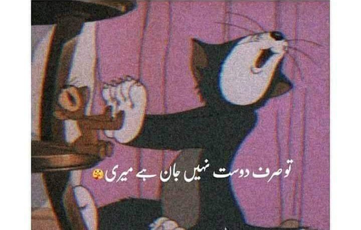 -Umےma 👑 tweet media
