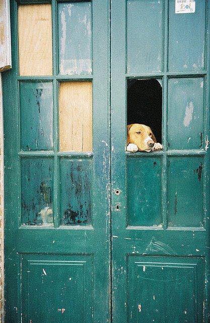 Si no tardas mucho
te espero toda la vida.

Oscar Wilde