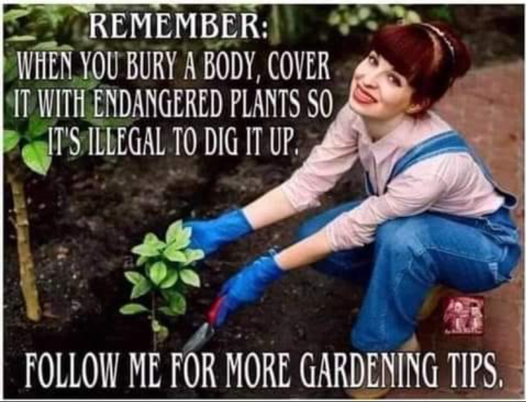 vampireforkeeps's tweet photo. #WeAreNecropolis 🌿🌸 https://t.co/taj0Wq2OFr