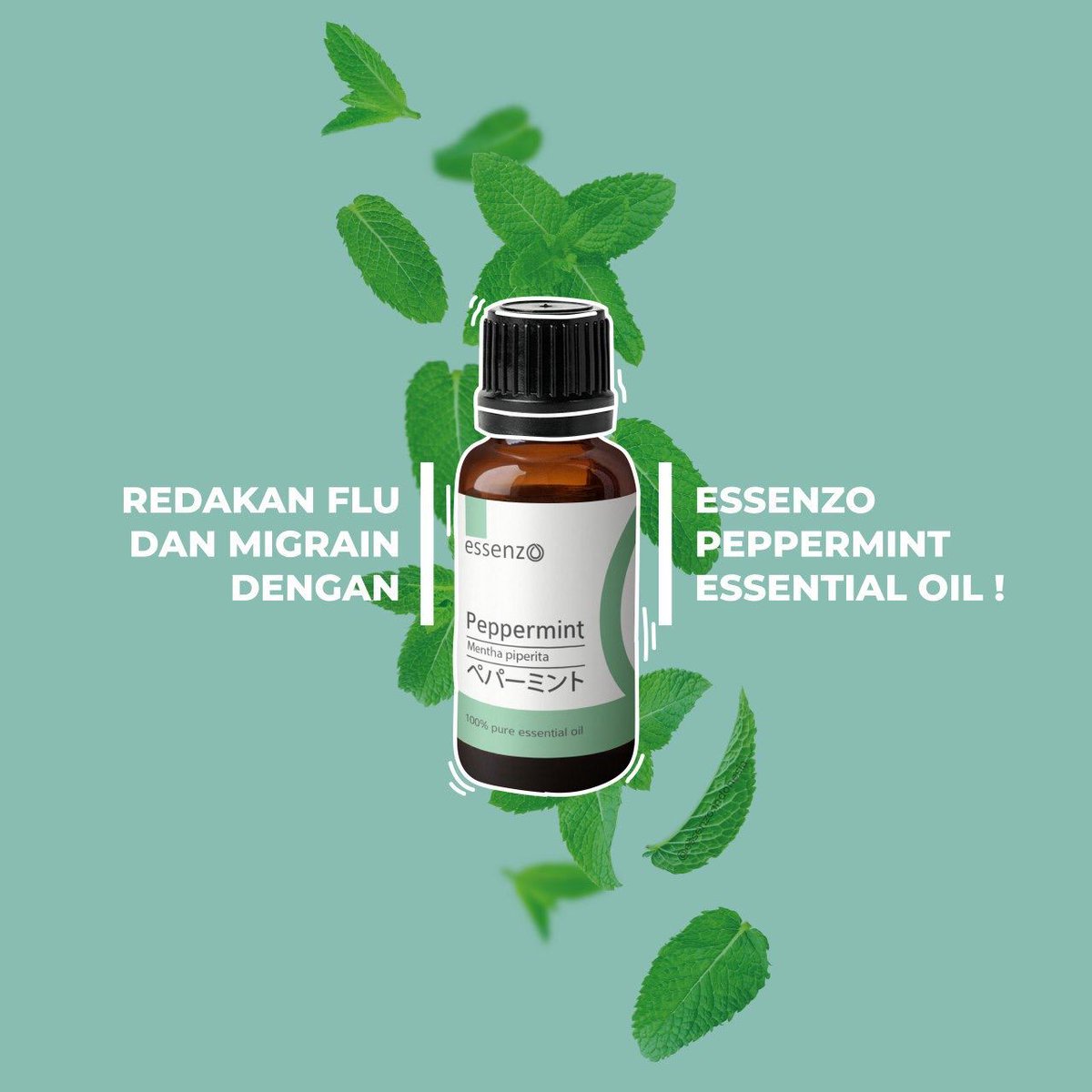 tyologic's tweet image. ✅Sikecil kaya manfaat, praktis &amp;amp; wajib dibawa kemana-mana.
✅Mau info lebih lengkapnya, silahkan klik link berikut ya ;
❇❇❇❇❇❇❇❇❇
bit.ly/SolusiCepatAta…


#temanhidupenak
#manfaatpeppermint
#antistress
#sesaknapas
#asma