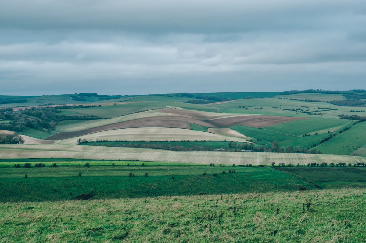 tom_snaps's tweet photo. Great to get out for some exercise and take a few snaps up on the downs yesterday. https://t.co/OGmYk1iRS8