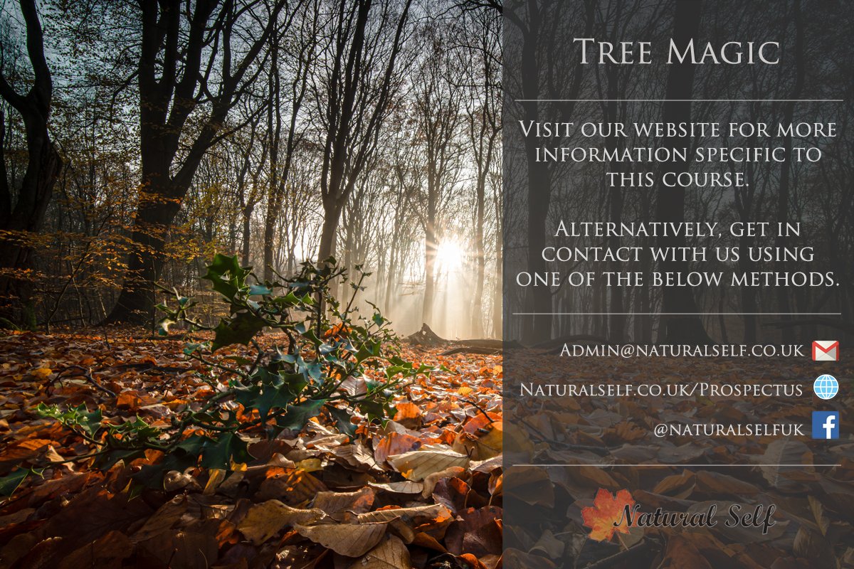 Tree magic course, starting soon! Enquire for details.