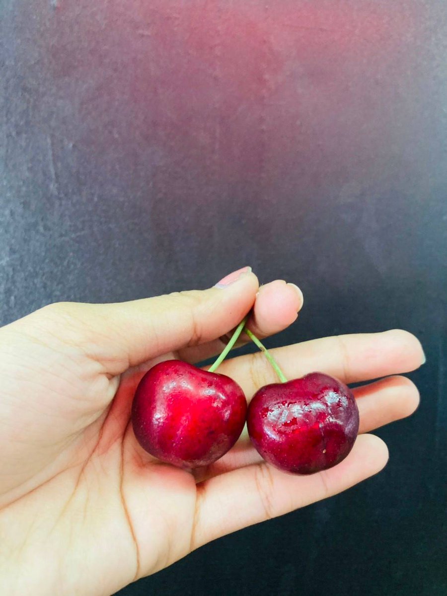 Nuj53886874's tweet photo. 🍒🍒 #เชอรี่ ออสเตรเลีย🍒🍒
หวาน กรอบ ฟิน
ลังละ 5 kg.
ราคาพร้อมส่งฟรีรถห้องเย็นทั่วไทย
✅ราคา 3,900บาท

💥ฟรีค่าจัดส่งรถห้องเย็น
✅ส่งด่วนกทม. และใกล้เคียงสอบถามได้นะคะ
#ร้านiamfruits #iamfruits #เชอรี่  #ตลาด #ผลไม้ #ต่างประเทศ

☎/line 0635962528 https://t.co/8jAlnRfUvL