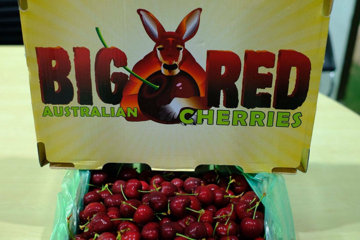Nuj53886874's tweet photo. 🍒🍒 #เชอรี่ ออสเตรเลีย🍒🍒
หวาน กรอบ ฟิน
ลังละ 5 kg.
ราคาพร้อมส่งฟรีรถห้องเย็นทั่วไทย
✅ราคา 3,900บาท

💥ฟรีค่าจัดส่งรถห้องเย็น
✅ส่งด่วนกทม. และใกล้เคียงสอบถามได้นะคะ
#ร้านiamfruits #iamfruits #เชอรี่  #ตลาด #ผลไม้ #ต่างประเทศ

☎/line 0635962528 https://t.co/8jAlnRfUvL