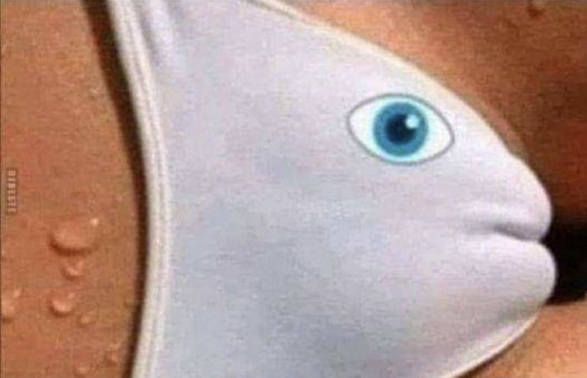 Dieser kleine fisch kann dein Auto, dein Haus und dein bankkonto fressen wenn du nicht aufpasst