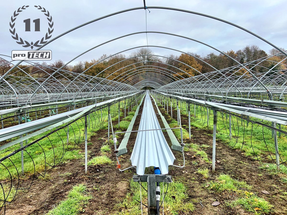 ProTechFuture's tweet image. Strawberry Tabletops conversion. 
For 11 years we have been creating bespoke growing systems to suit individual farm’s needs . Here we converted an old “4 wire system” to gutter tabletops.

protech.team

#recycle #water #growingsystems #waterrecycling #Protech