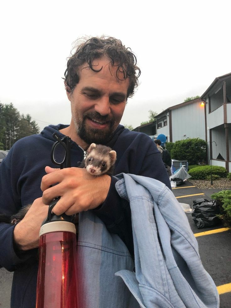 Mark Ruffalo
Also a happy birthday to this cutie talented man ur the Best, love u sooo much 