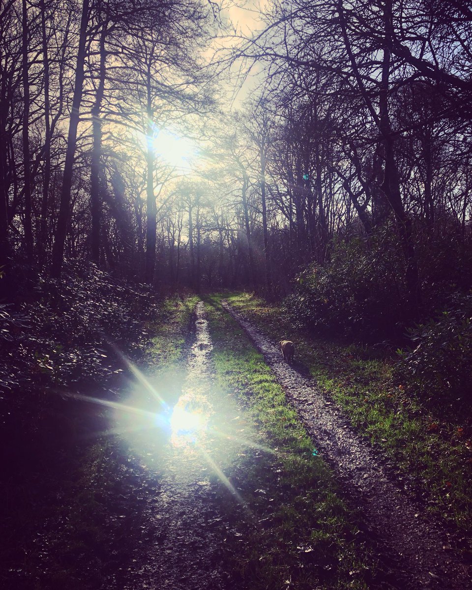 marcus covell (@marcuscovell) on Twitter photo 