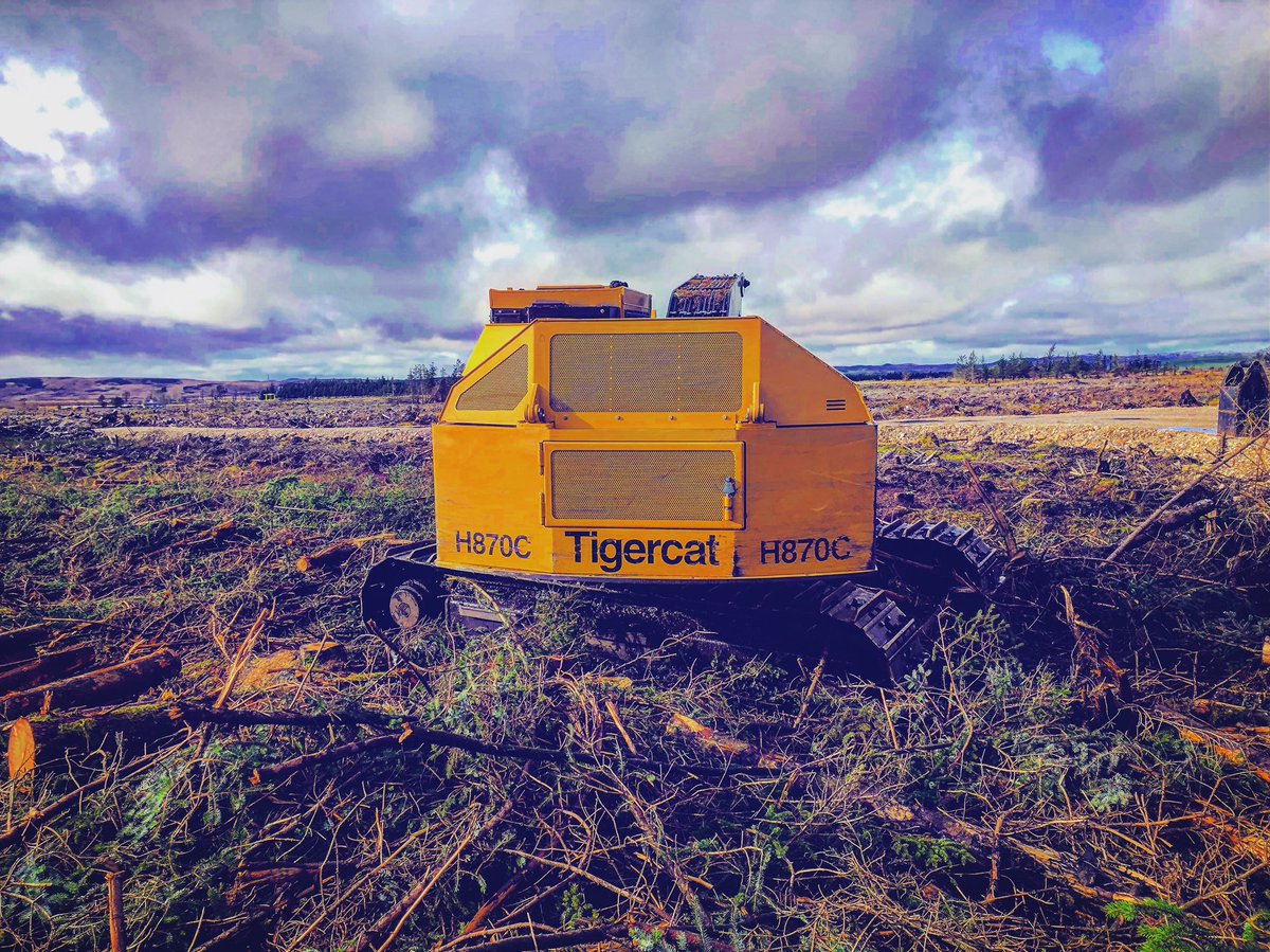 #tigercatforestry