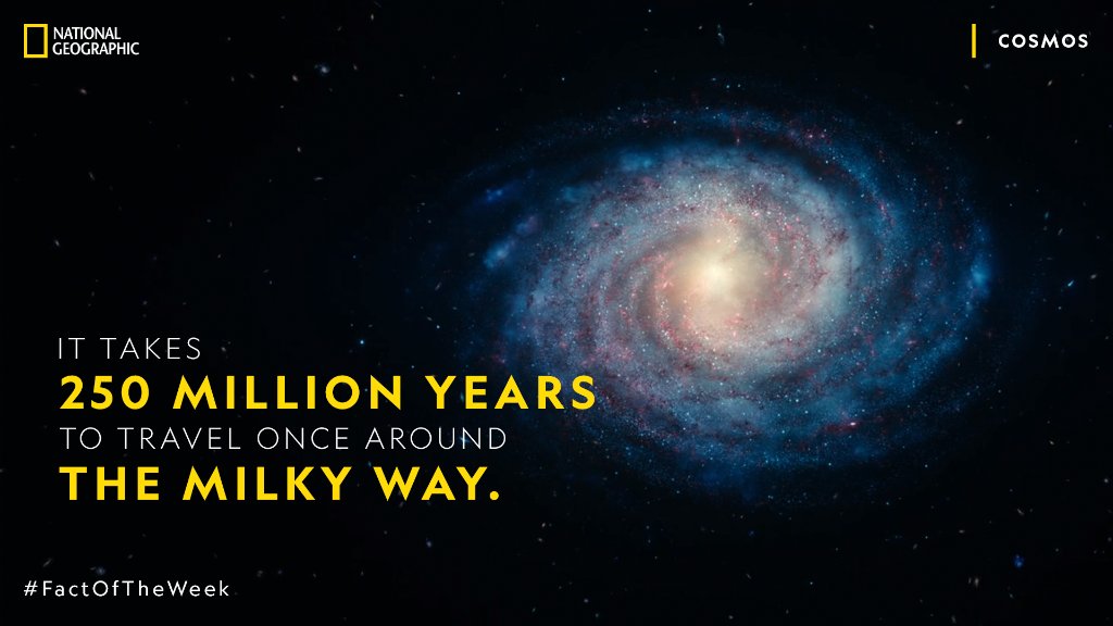 NatGeoIndia's tweet photo. This stellar #FactOfTheWeek is sure to leave you star-struck! Learn even more fun facts as you journey with us beyond our solar system on Cosmos: Possible Worlds, anytime on @DisneyPlusHS. https://t.co/oSEsvYWx0O
#NatGeoScience https://t.co/Ererm8OL8n