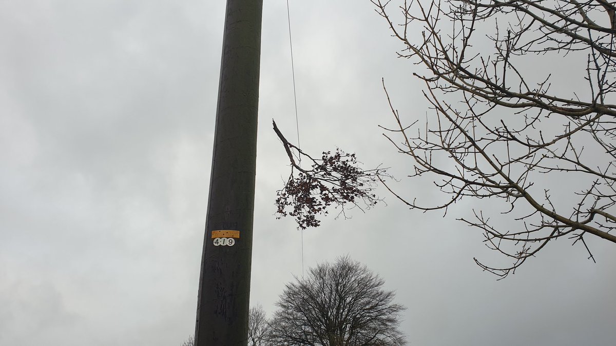 Georgina Young tweet media