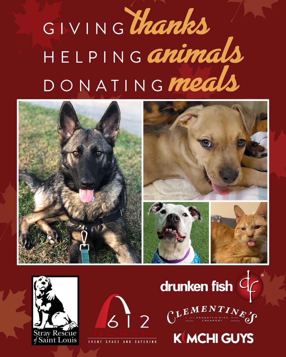 Starting tomorrow, we’ve joined forces with @kimchiguys, @612north, &amp; @clementinescreamery to give away free meals &amp; 🍦🍦🍦 while raising donations for @strayrescuestl! Get a free meal, consider making a contribution! #supportlocal #giveback #thanksgiving