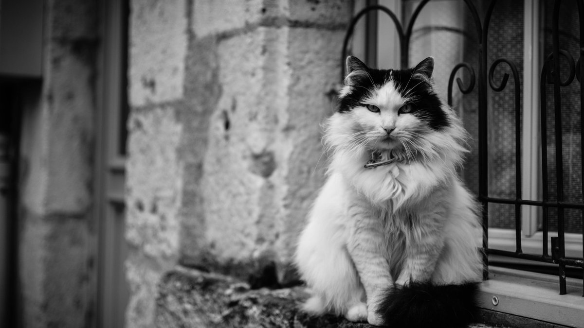 MiraultPaul's tweet photo. Bon voila j'ai décidé de partager quelques unes de mes photos.  (en vrac) https://t.co/8u7CqcxIVA