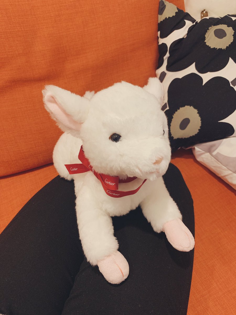 赤毛 Pa Twitter 妹たちの名付けセンス 1枚目 ムサーリョ ハミルトン 2枚目 カカトロ 3枚目 メラニー