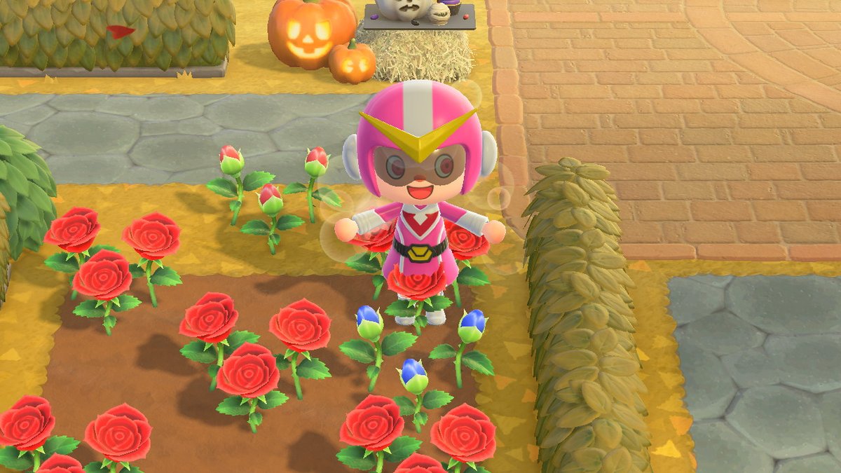 LexiPlaysSwitch's tweet photo. #AnimalCrossing #ACNH #NintendoSwitch https://t.co/uWM9HaMSHO