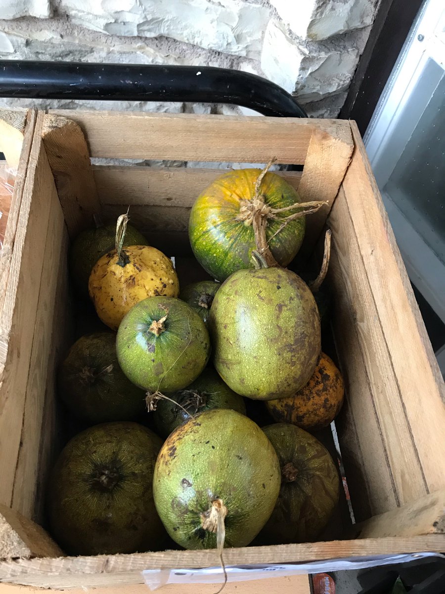 Here& #39;s a share of the squash crop arranged on the two shelves at the Community Larder at Paulton.