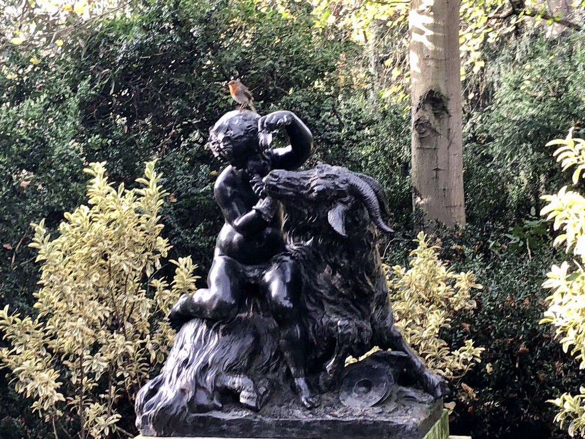 LouiseLoxley's tweet photo. Spot the robin #wintrywalk https://t.co/xyZkRhmRgE