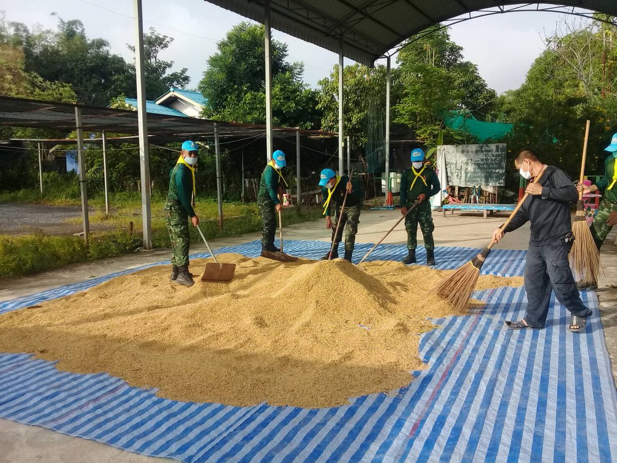 armypr_news's tweet image. กองพลทหารราบที่ 2รักษาพระองค์ นำกำลังพลจิตอาสาช่วยเหลือชาวนา จ.สระแก้ว ,ปราจีนบุรี
เก็บเกี่ยว ตาก นำเข้ายุ่งฉาง  
#เป็นที่พึ่งของประชาชนในทุกโอกาส
 #กองทัพภาคที่1