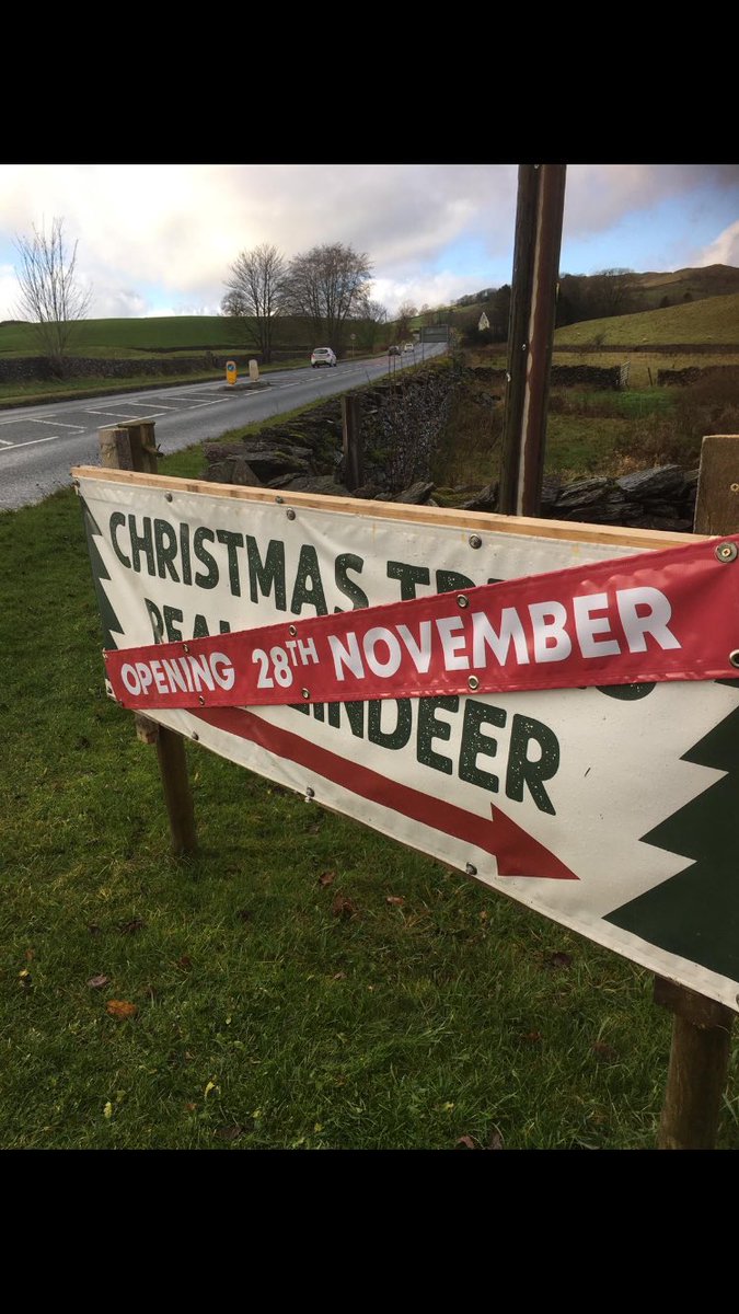 We’re starting to feel a little festive here, open for #christmastrees next week! Delivery slots for logs are starting to fill up now also. Both can be ordered online or call in and say hi. From a 2 metre distance obviously cosylogs.co.uk