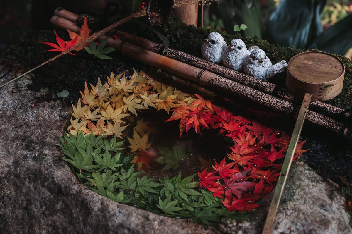 楊谷寺の花手水。毎年行っても飽きない。