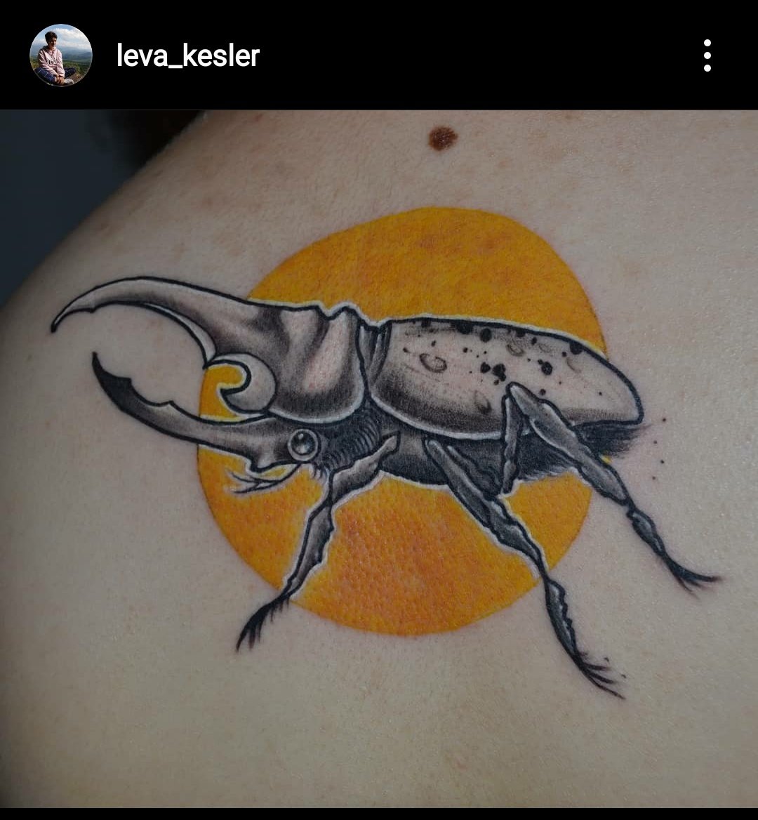 okolo_Lev's tweet photo. @diadeo13 Не смотришь ты мою инсту, ниуважаешб! Кста все они от drunk_master_tattoos(инст)
Сделаны стотыщлетназад, но все равно оч нравятся :''3 https://t.co/d3zaepMQAm