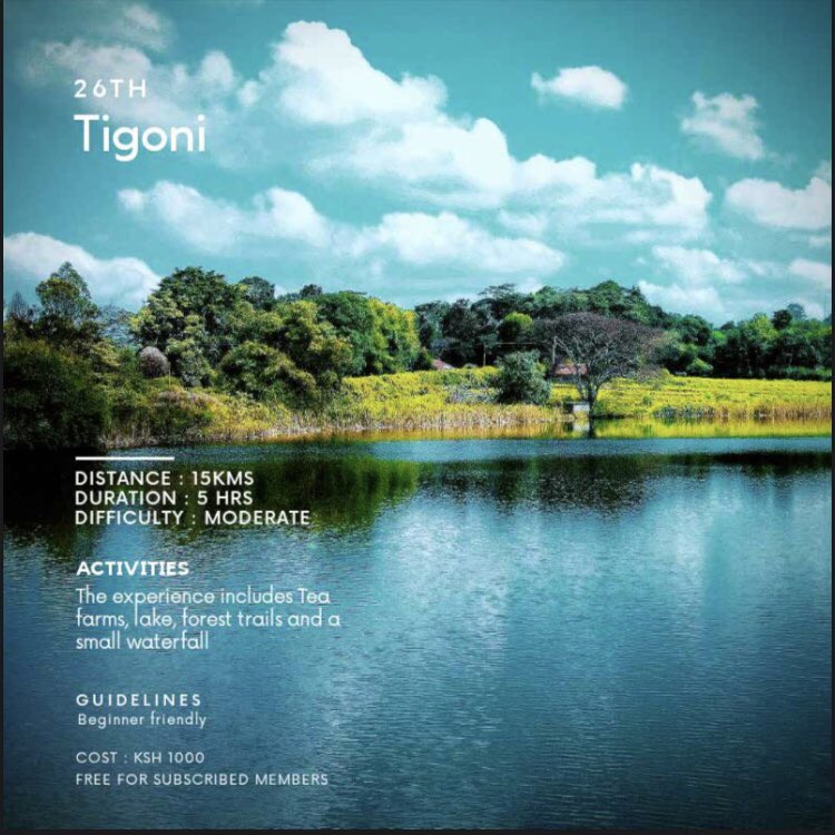 7. Tigoni