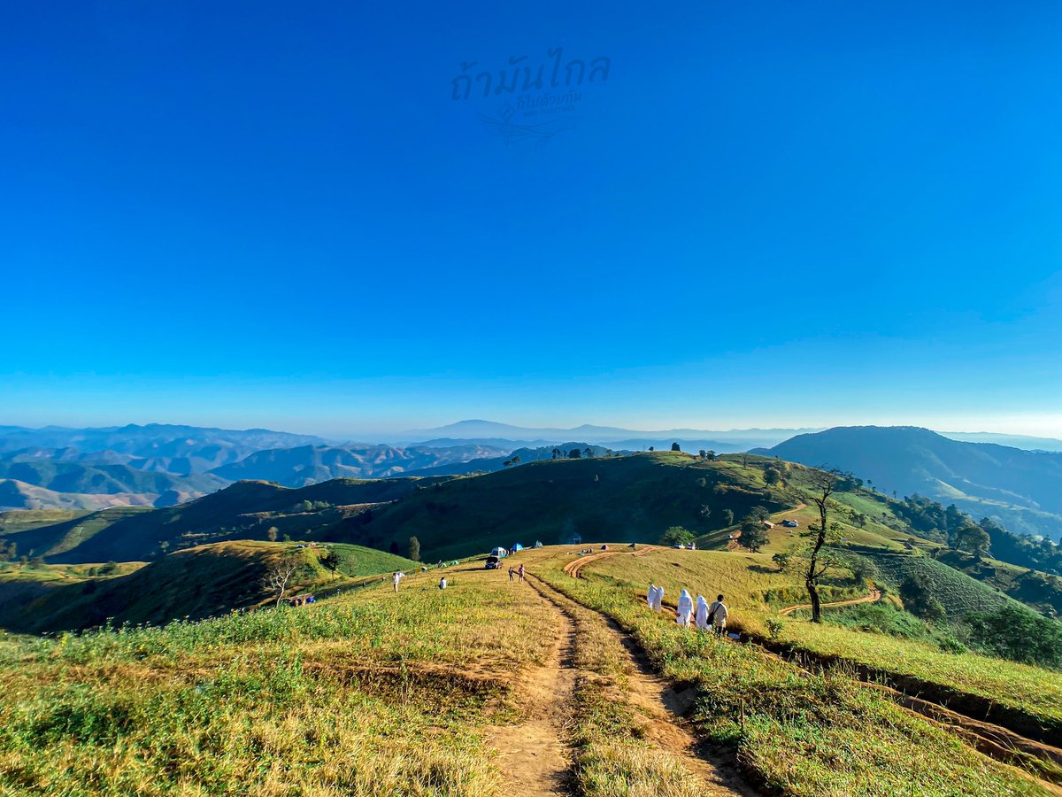 nutnaratiwat's tweet photo. 📷 #shotoniPhone  : iPhone 11 + lens wide ulanzi 16mm 📷

Location: ดอยแม่โถ https://t.co/onOsfoOybL