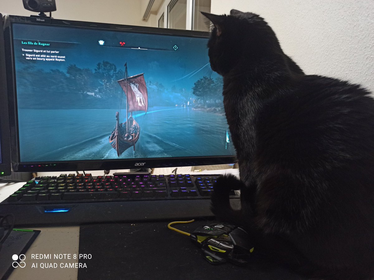 Ylarhia's tweet photo. Blacky devais être un Viking dans une autre vie 😂😍
#AssassinsCreed #AssassinsCreedValhalla #AssassinCreedValhalla #chat #chatnoir #AC #ylarhia #Vikings #mignion https://t.co/ukrqVx2V8l