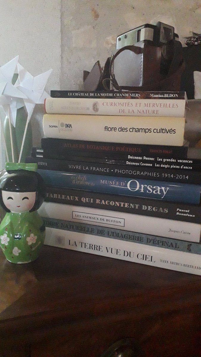 Malineonline's tweet photo. Je faisais la poussière, je me suis dit que j'allais laisser des coffee-tablebook en déco et ça s'est fini en pyramide sur le buffet 😅 bon, ma bibliothèque commence à craquer 😬 #livres #tablebook #decoration https://t.co/brJgv5xut0