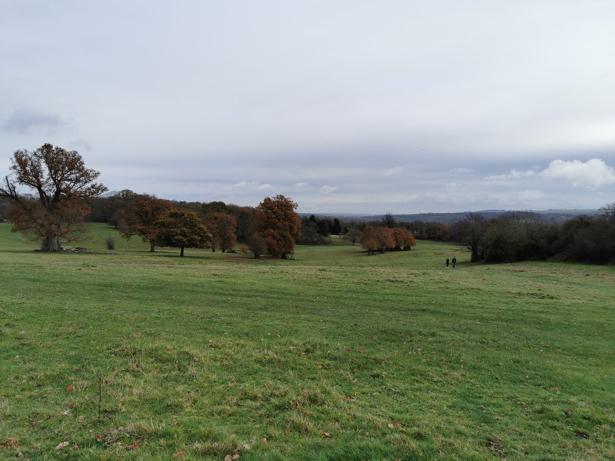 PaulaJayneDaws2's tweet photo. Lovely walk at Dinton Park this morning. #SDHActive @MatronsSDH1 @Jaynesheppard4 @HelenBenfield5 @SrDawnEdge @BernieDunn6 https://t.co/Qbltov49fL